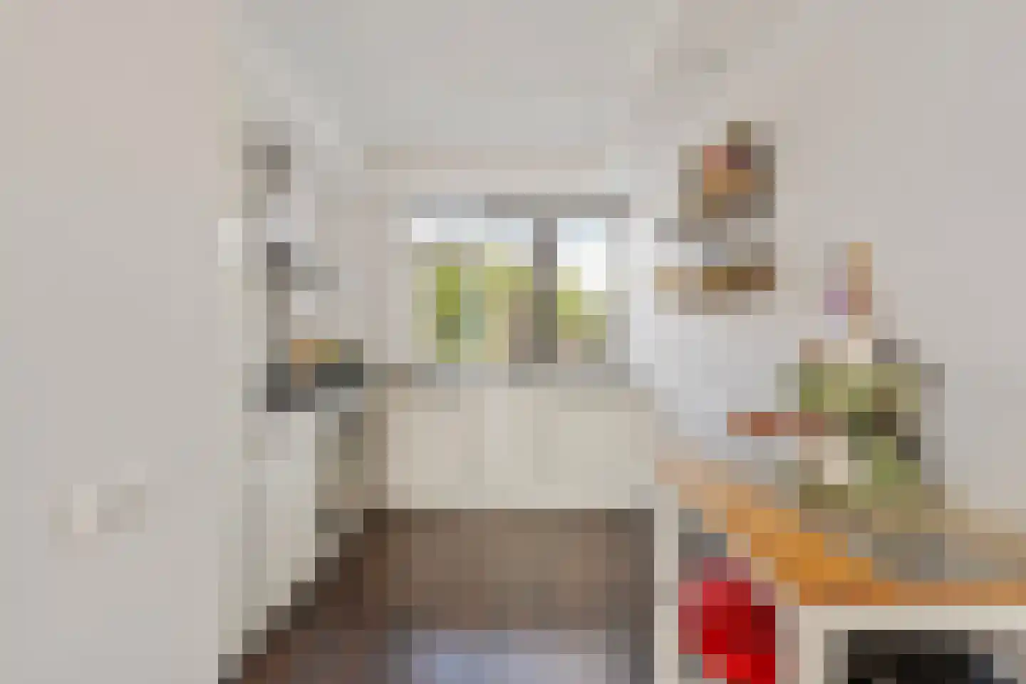 Ruusbroechof 70 Alkmaar thumbnail 8