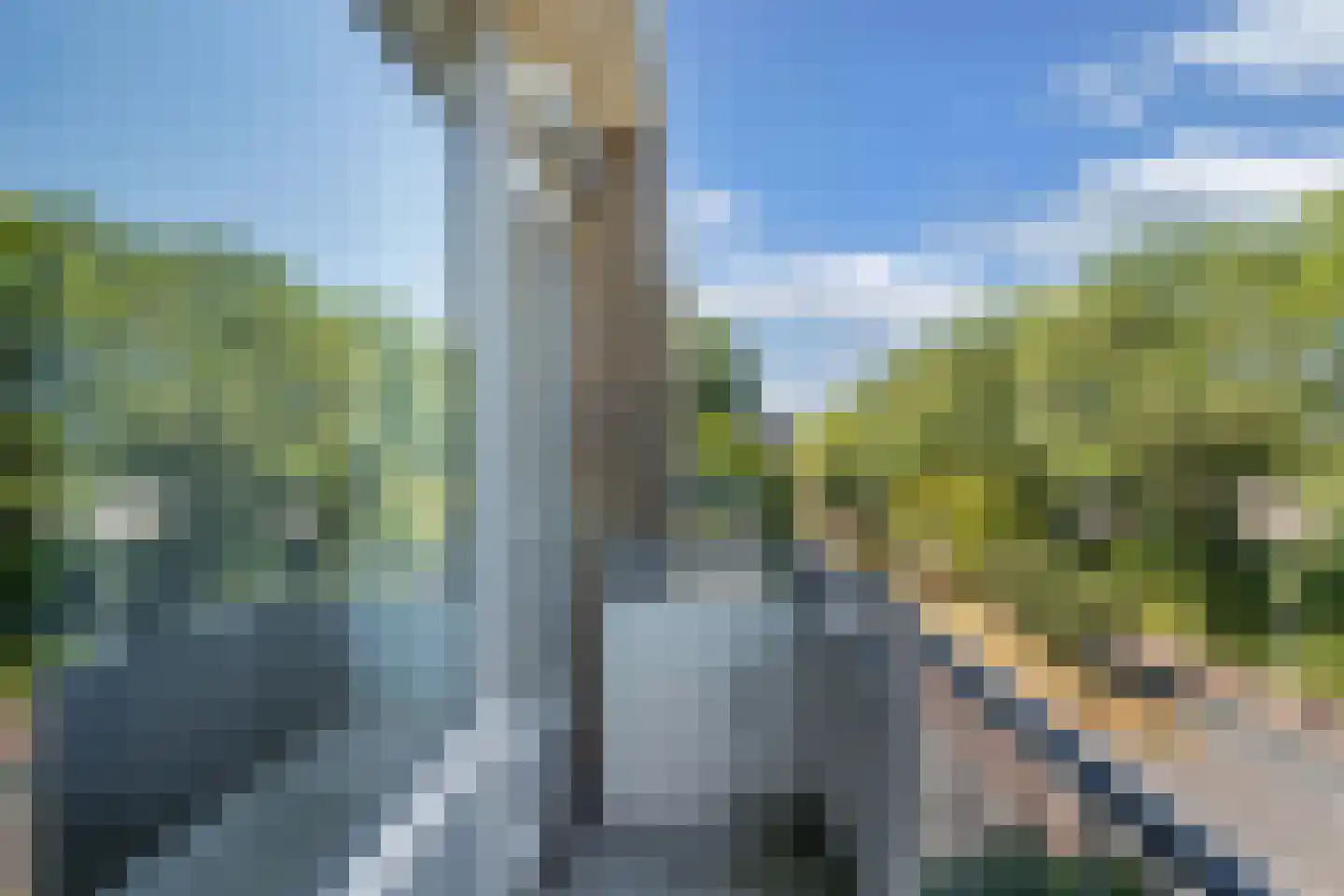 Ruusbroechof 9 Alkmaar thumbnail 24