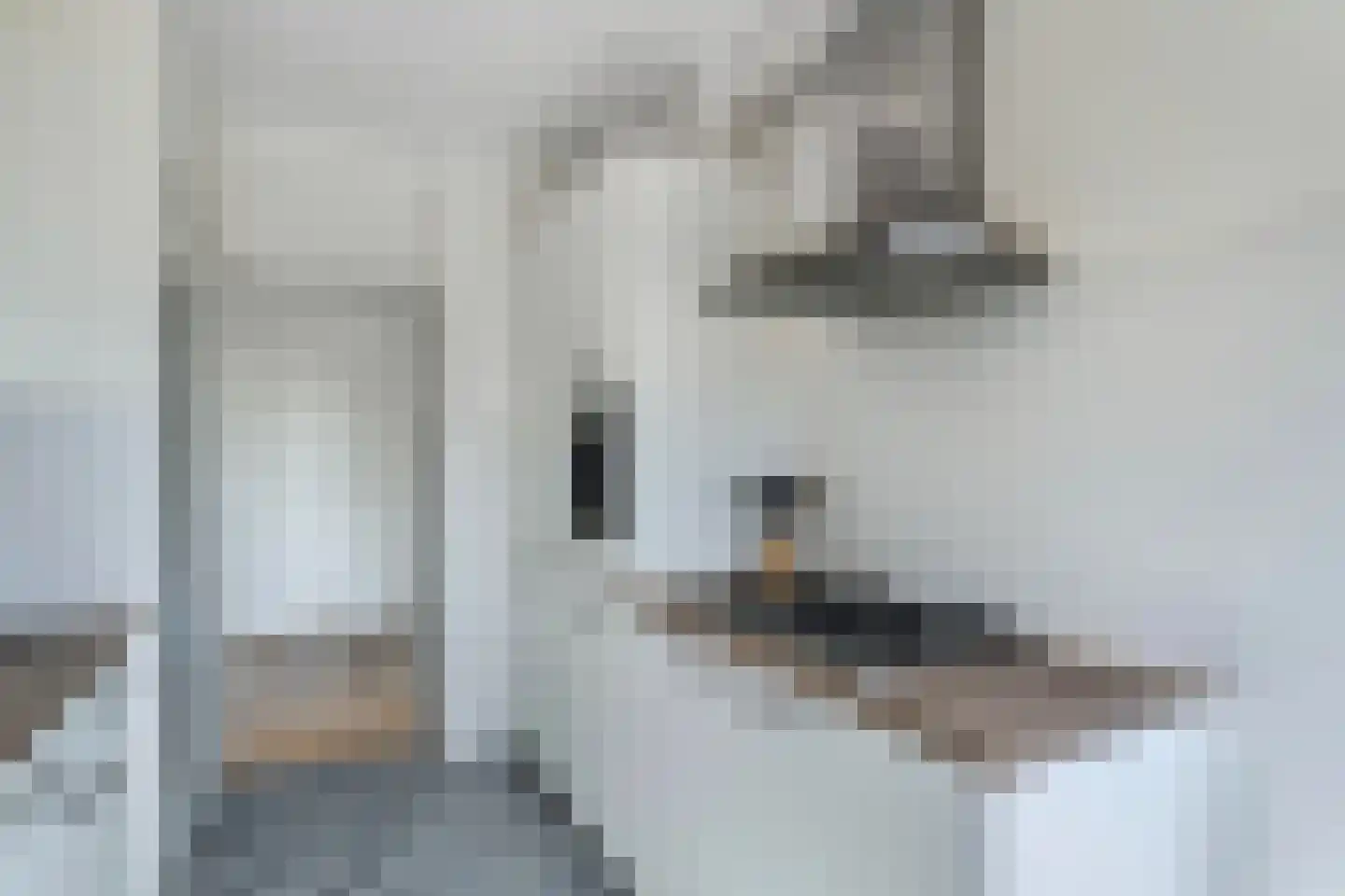 Ruusbroechof 9 Alkmaar thumbnail 32