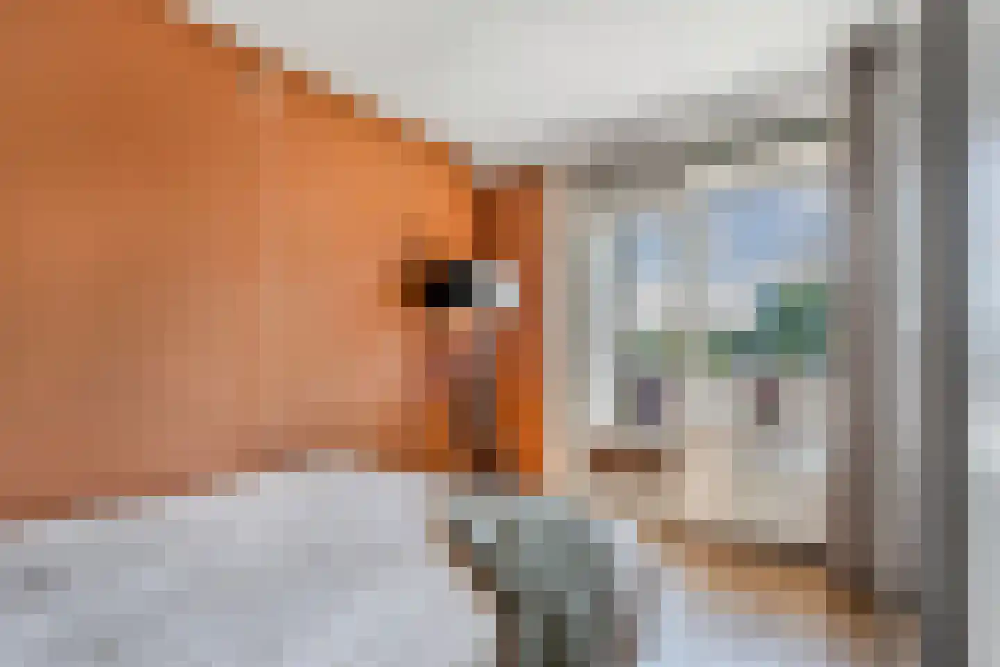 Ruusbroechof 9 Alkmaar thumbnail 33
