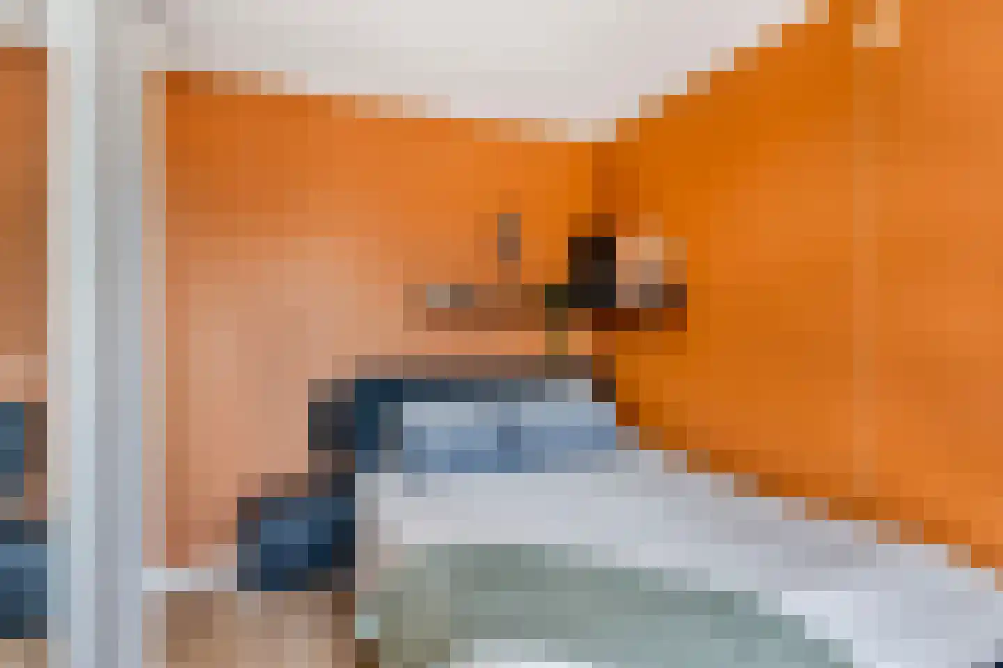 Ruusbroechof 9 Alkmaar thumbnail 34