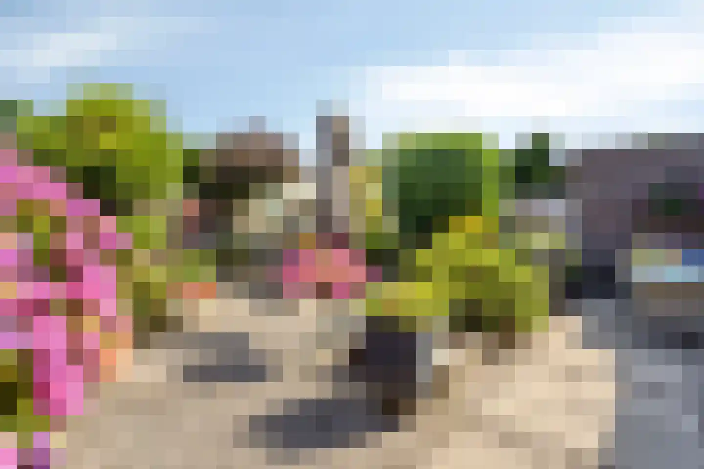 Ruusbroeclaan 125 Helmond thumbnail 15