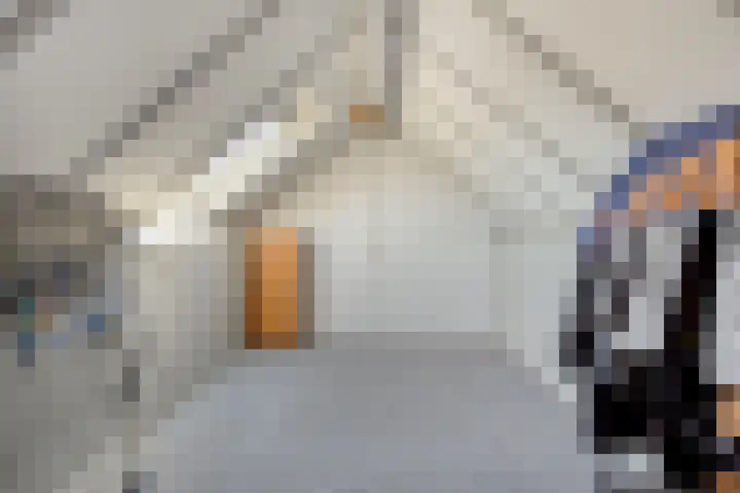 Ruusbroeclaan 125 Helmond thumbnail 25