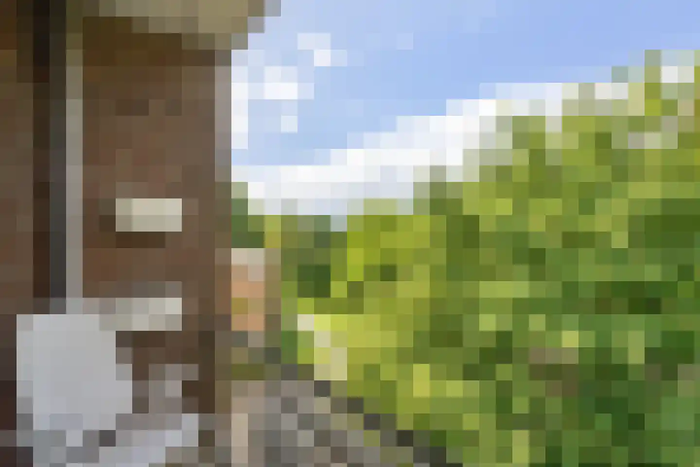 Ruusbroecstraat 11 Zwolle thumbnail 24