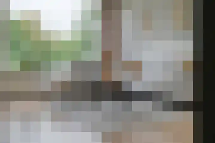 Ruusbroecstraat 124 Zwolle thumbnail 8
