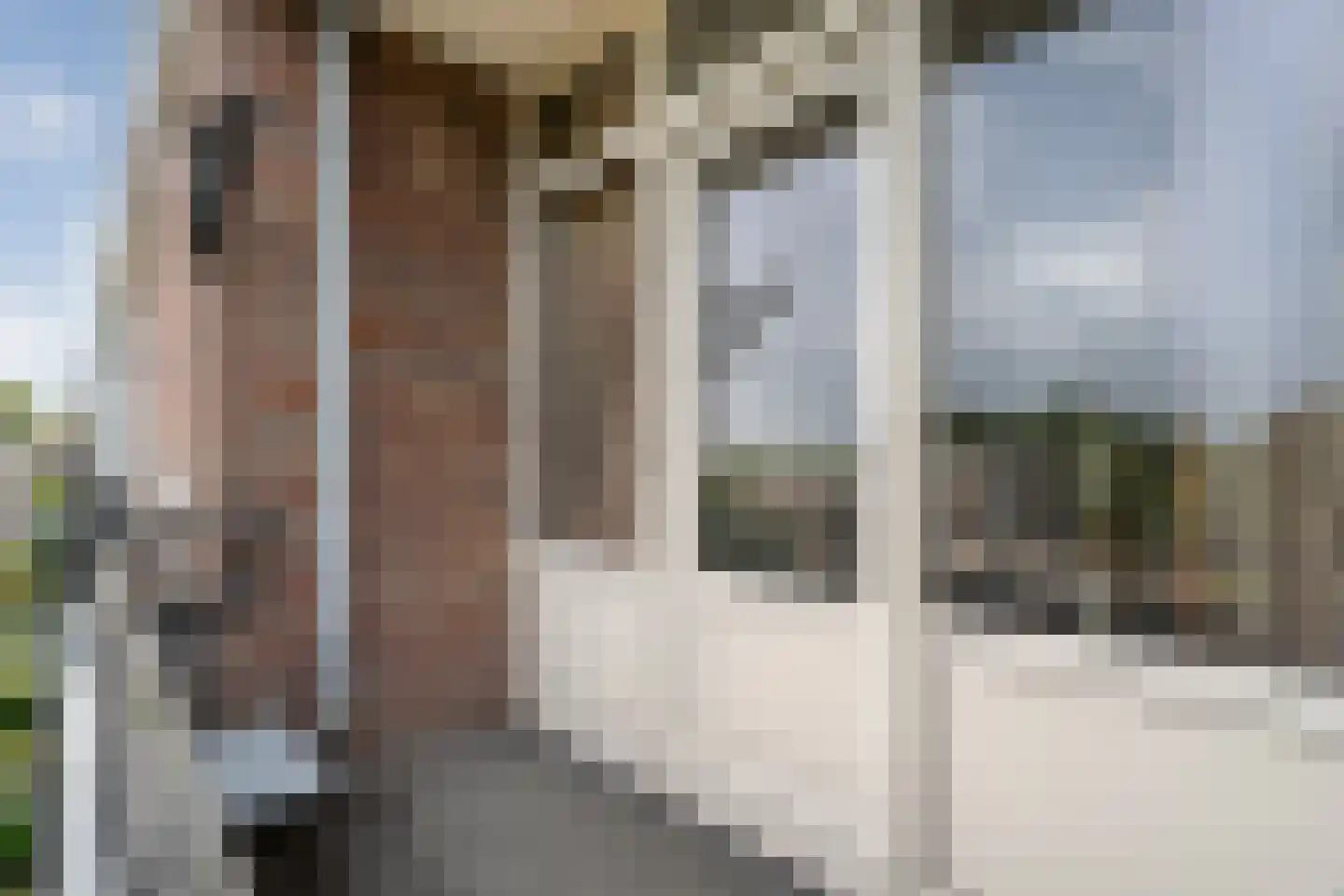 Ruusbroecstraat 125 Zwolle thumbnail 25