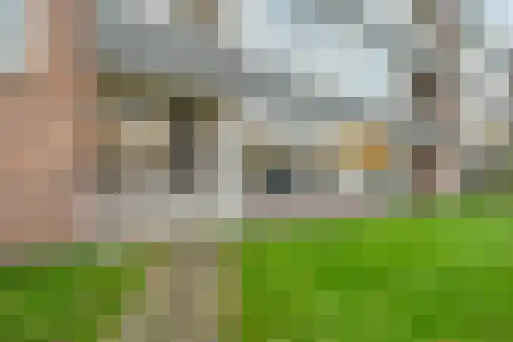 Ruusbroecstraat 13 Zwolle thumbnail 31