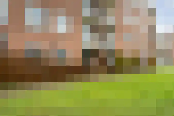 Ruusbroecstraat 151 Zwolle thumbnail 33