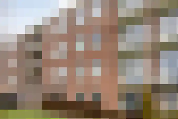 Ruusbroecstraat 151 Zwolle thumbnail 36