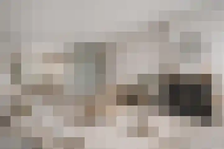 Ruusbroecstraat 151 Zwolle thumbnail 8