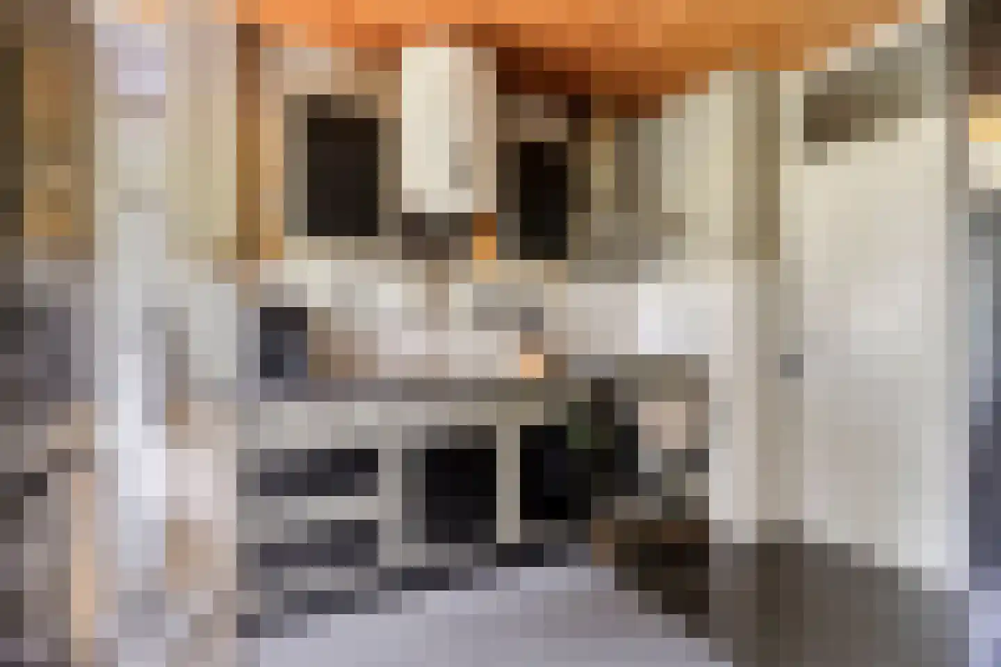 Ruusbroecstraat 171 Zwolle thumbnail 11