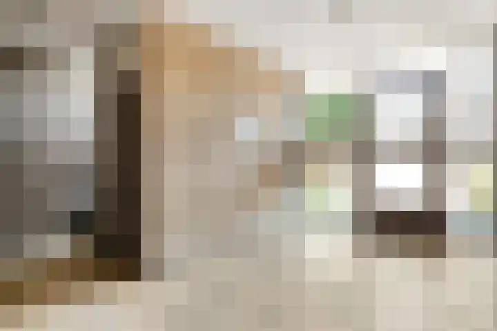 Ruusbroecstraat 19 Zwolle thumbnail 8