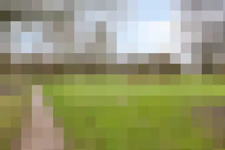 Ruusbroecstraat 23 Zwolle thumbnail 25