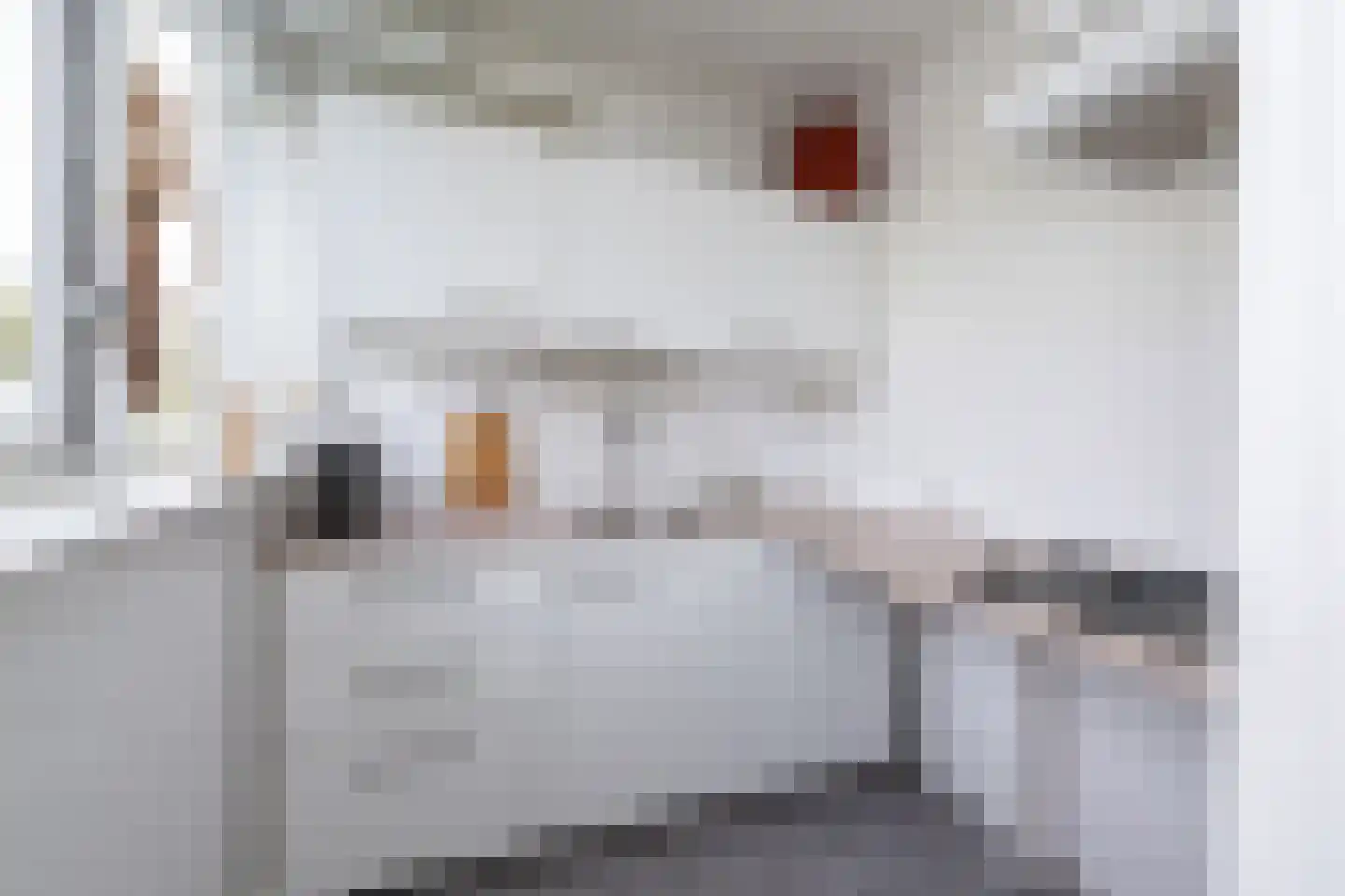 Ruusbroecstraat 24 Zwolle thumbnail 11