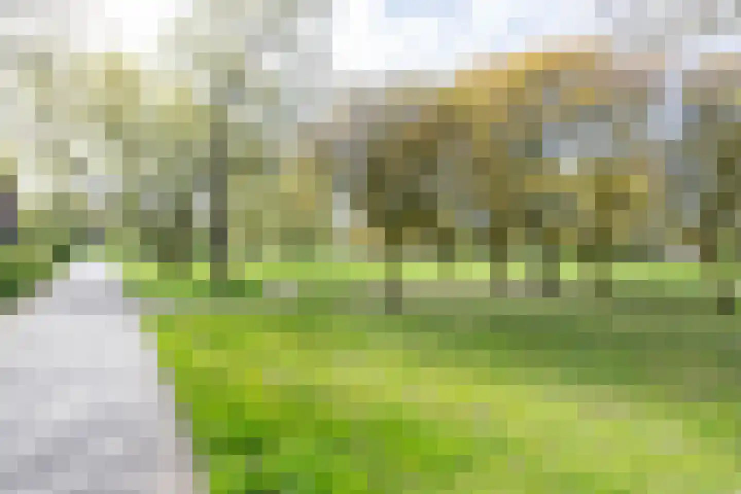 Ruusbroecstraat 24 Zwolle thumbnail 19