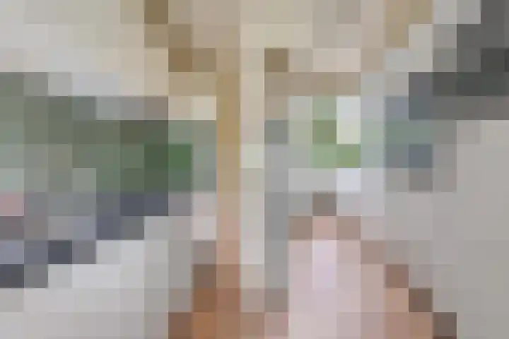 Ruusbroecstraat 31 Zwolle thumbnail 8