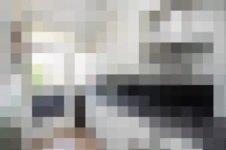 Ruusbroecstraat 52 Zwolle thumbnail 13