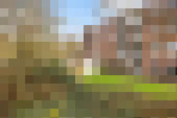 Ruusbroecstraat 57 Zwolle thumbnail 32