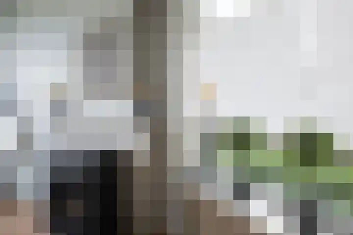 Ruusbroecstraat 64 Zwolle thumbnail 14
