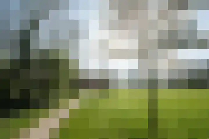 Ruusbroecstraat 64 Zwolle thumbnail 4