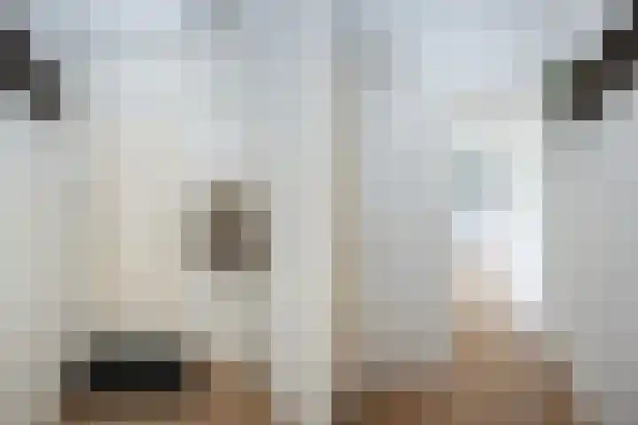 Ruusbroecstraat 64 Zwolle thumbnail 7