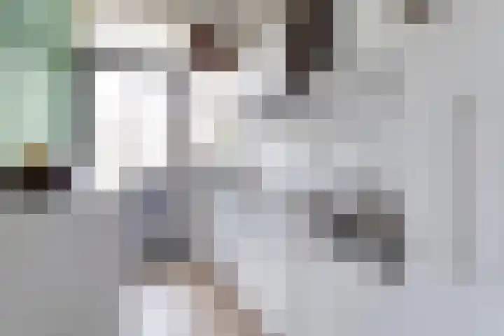 Ruusbroecstraat 66 Zwolle thumbnail 8