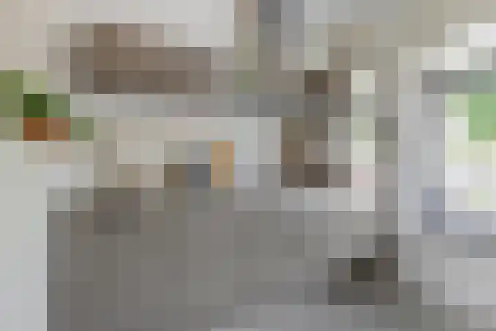 Ruusbroecstraat 7 Nijmegen thumbnail 13