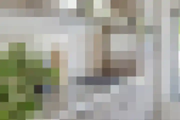Ruusbroecstraat 7 Nijmegen thumbnail 14