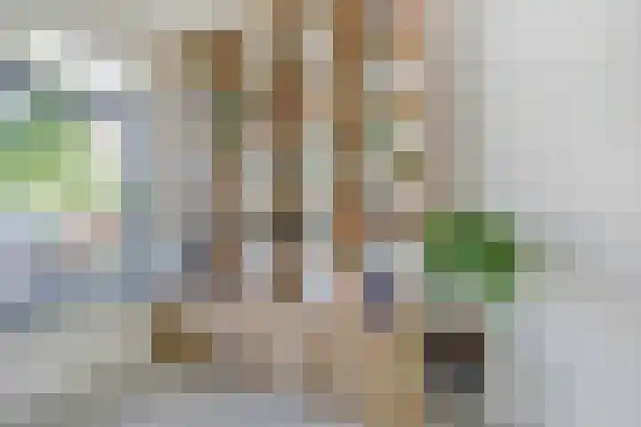 Ruusbroecstraat 7 Nijmegen thumbnail 17