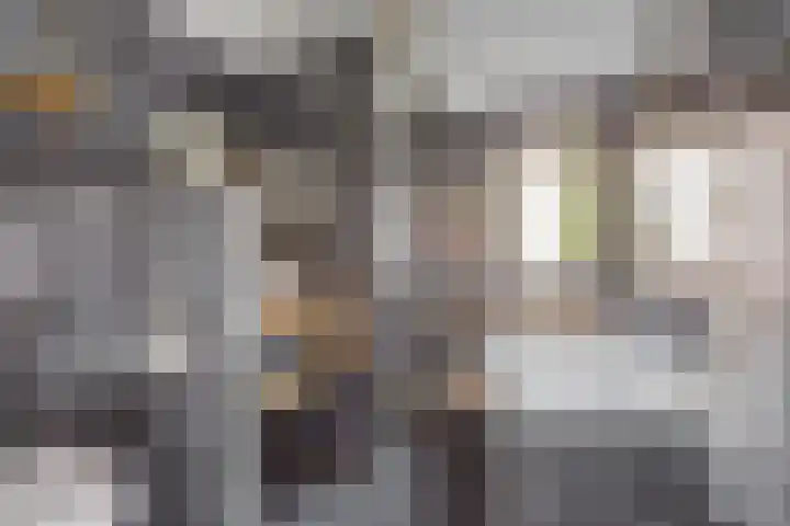 Ruusbroecstraat 7 Nijmegen thumbnail 30