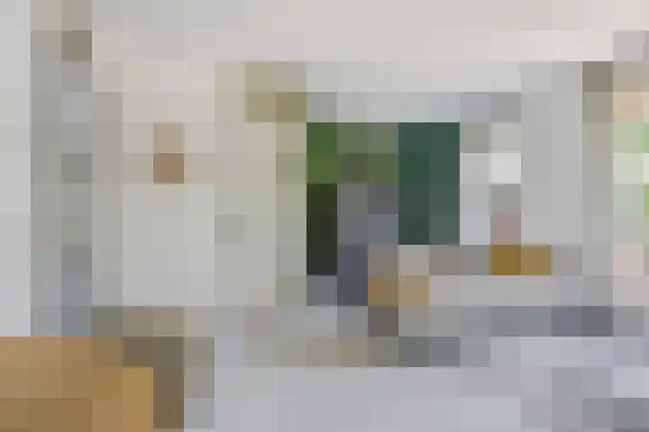 Ruusbroecstraat 7 Nijmegen thumbnail 7