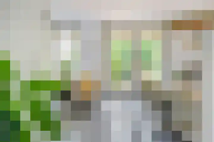 Ruusbroecstraat 7 Nijmegen thumbnail 8