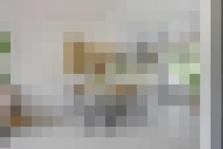 Ruusbroecstraat 7 Nijmegen thumbnail 9