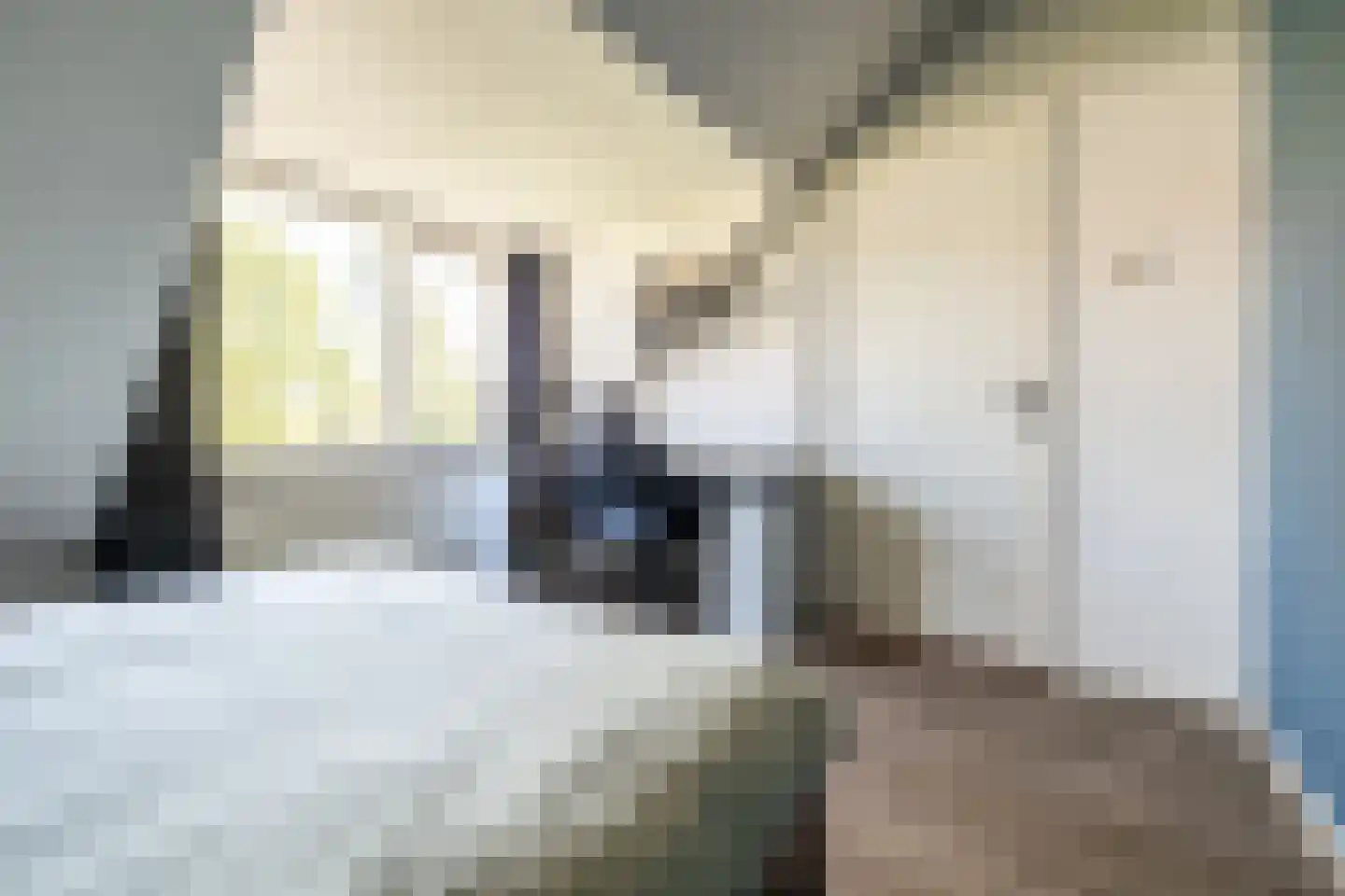 Ruusbroecstraat 70 Breda thumbnail 31