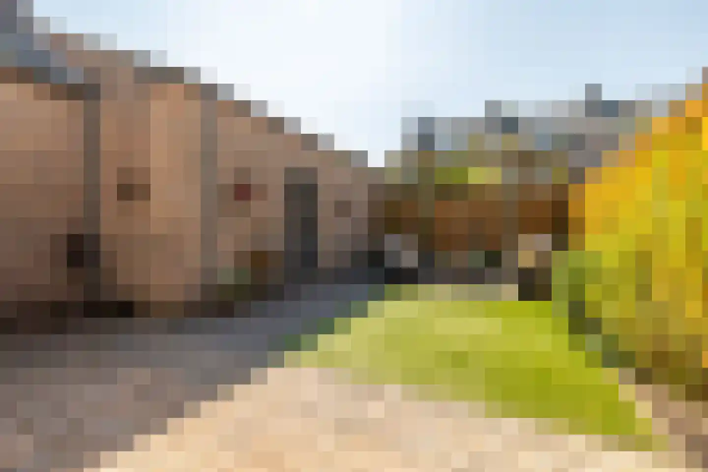 Ruusbroecstraat 70 Breda thumbnail 32