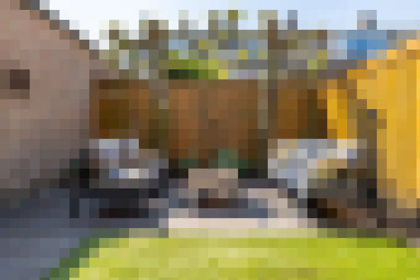 Ruusbroecstraat 70 Breda thumbnail 37