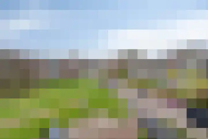 Ruusbroecstraat 75 Zwolle thumbnail 33