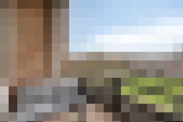Ruusbroecstraat 75 Zwolle thumbnail 8