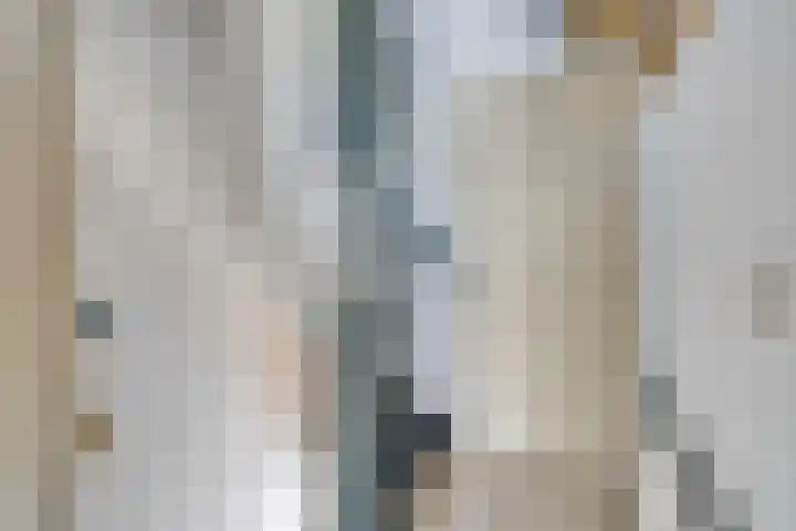 Ruusbroecstraat 8 Nijmegen thumbnail 4
