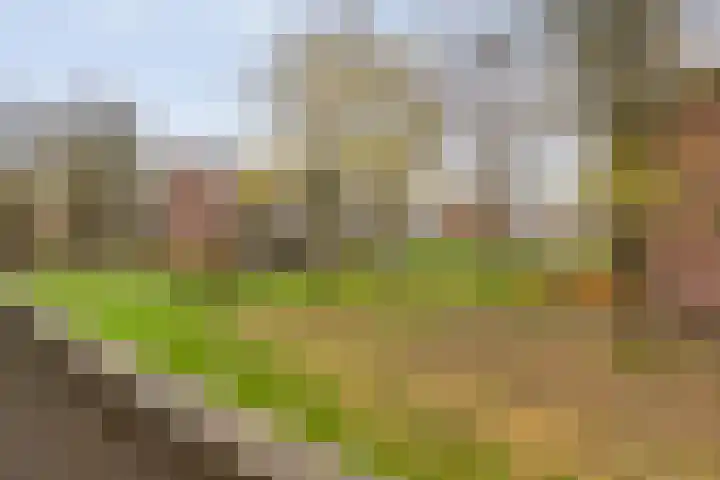 Ruusbroecstraat 82 Zwolle thumbnail 34
