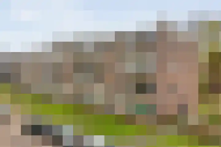 Ruusbroecstraat 82 Zwolle thumbnail 4
