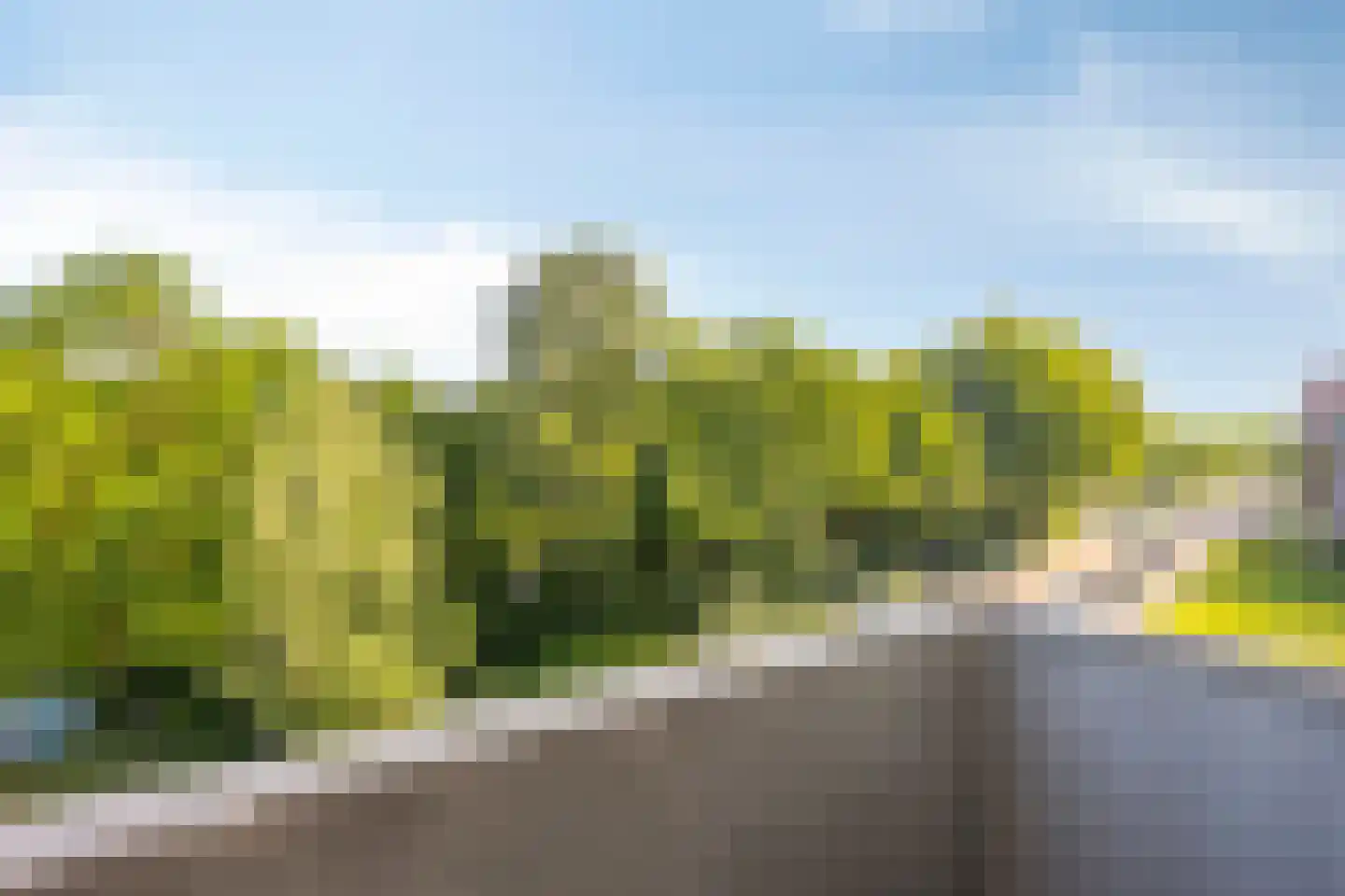 Ruusbroecstraat 86 Zwolle thumbnail 18