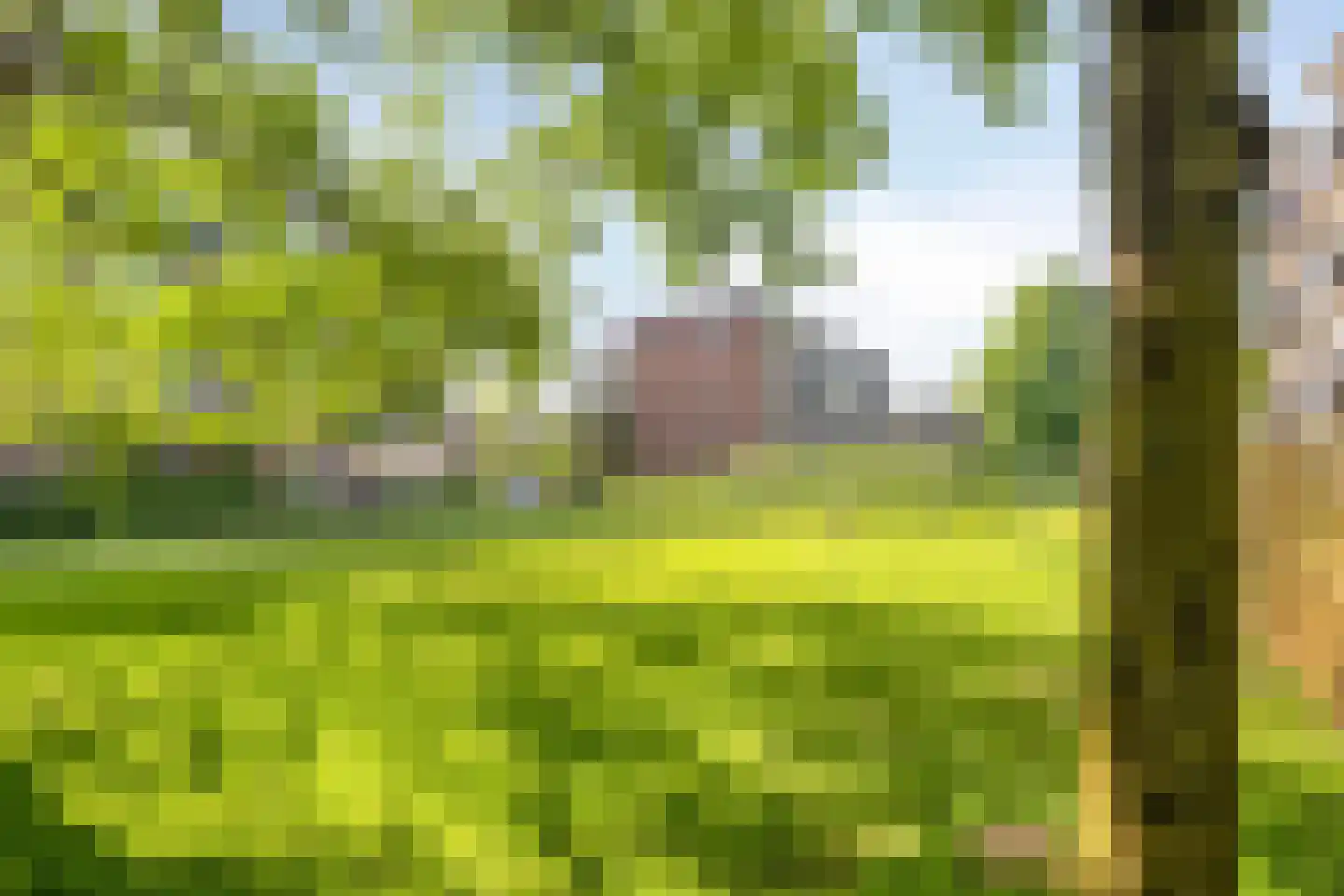 Ruusbroecstraat 86 Zwolle thumbnail 31