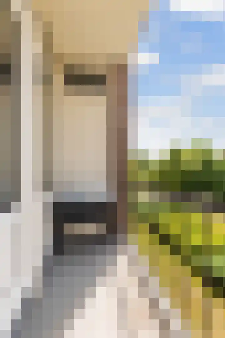 Ruusbroecstraat 95 Zwolle thumbnail 26