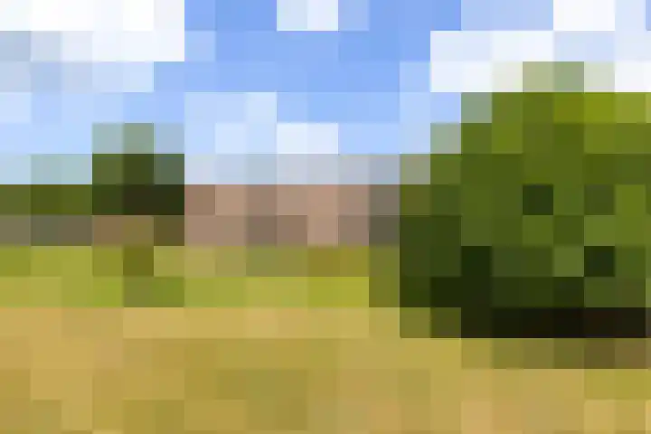 Ruusbroecstraat 95 Zwolle thumbnail 37