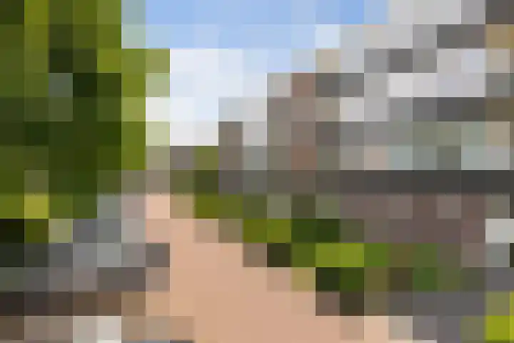 Ruusbroecstraat 95 Zwolle thumbnail 5
