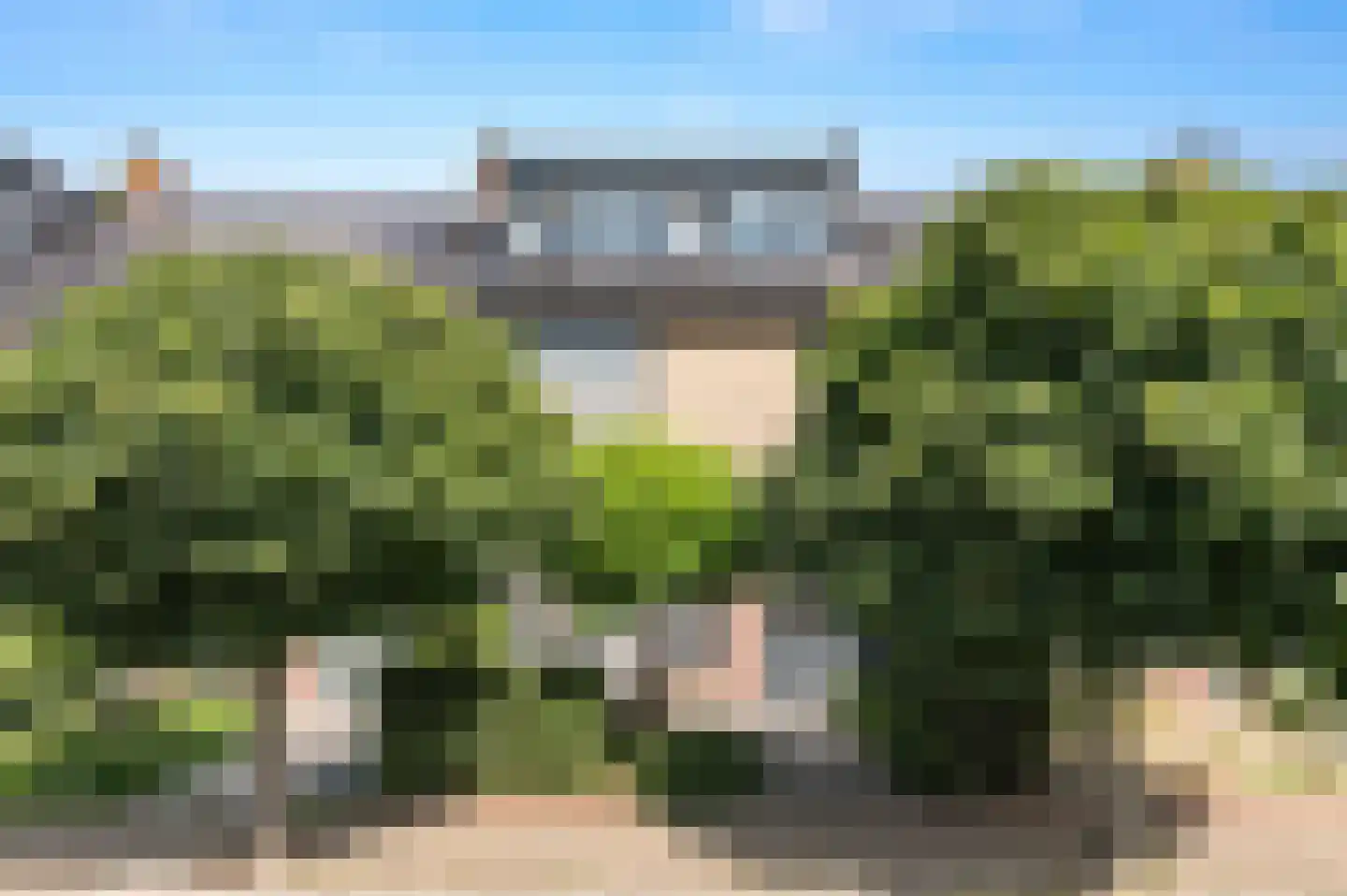 Ruwaard 6 Maasland