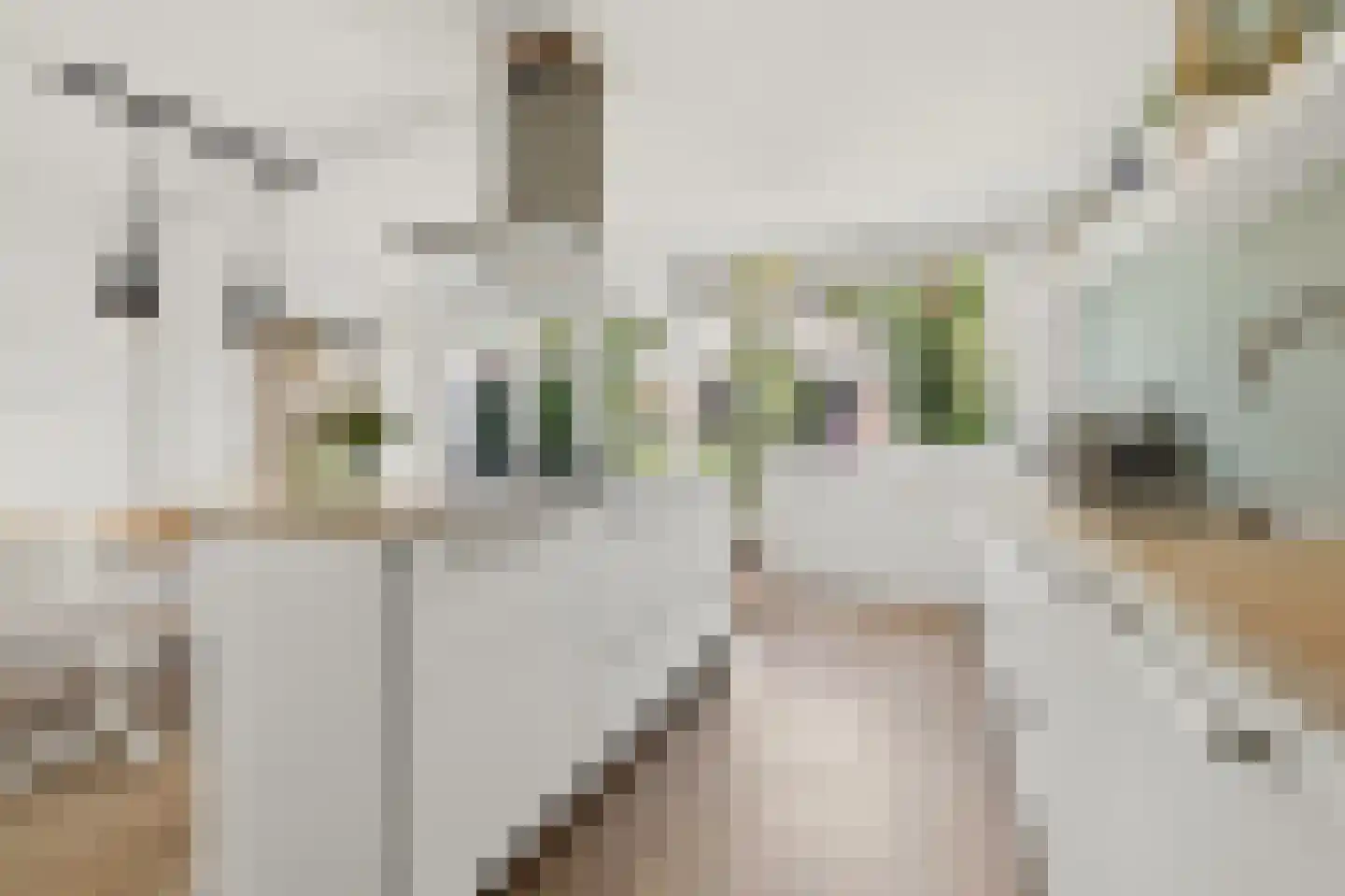 Ruwaard 6 Maasland thumbnail 15