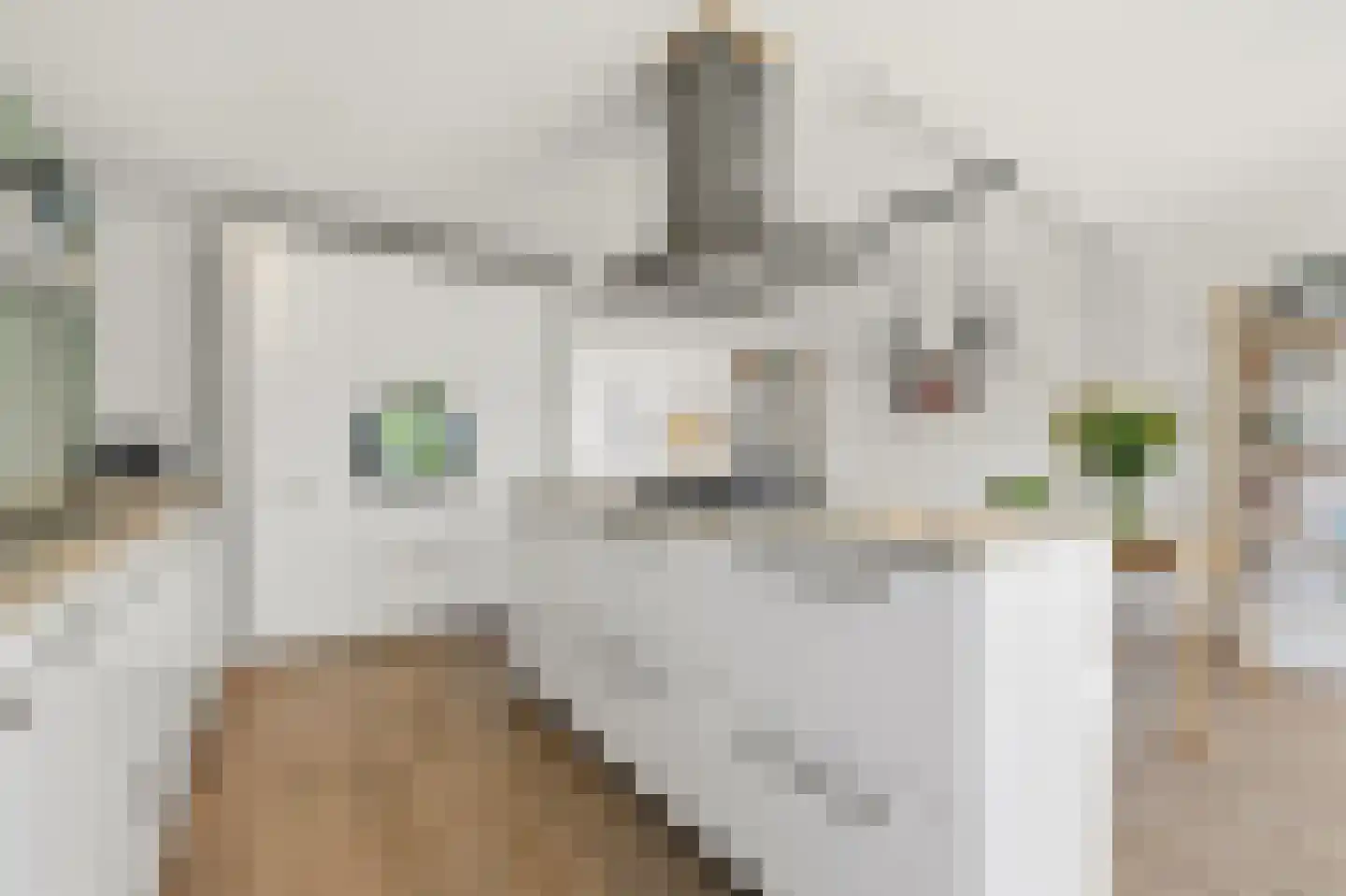 Ruwaard 6 Maasland thumbnail 16