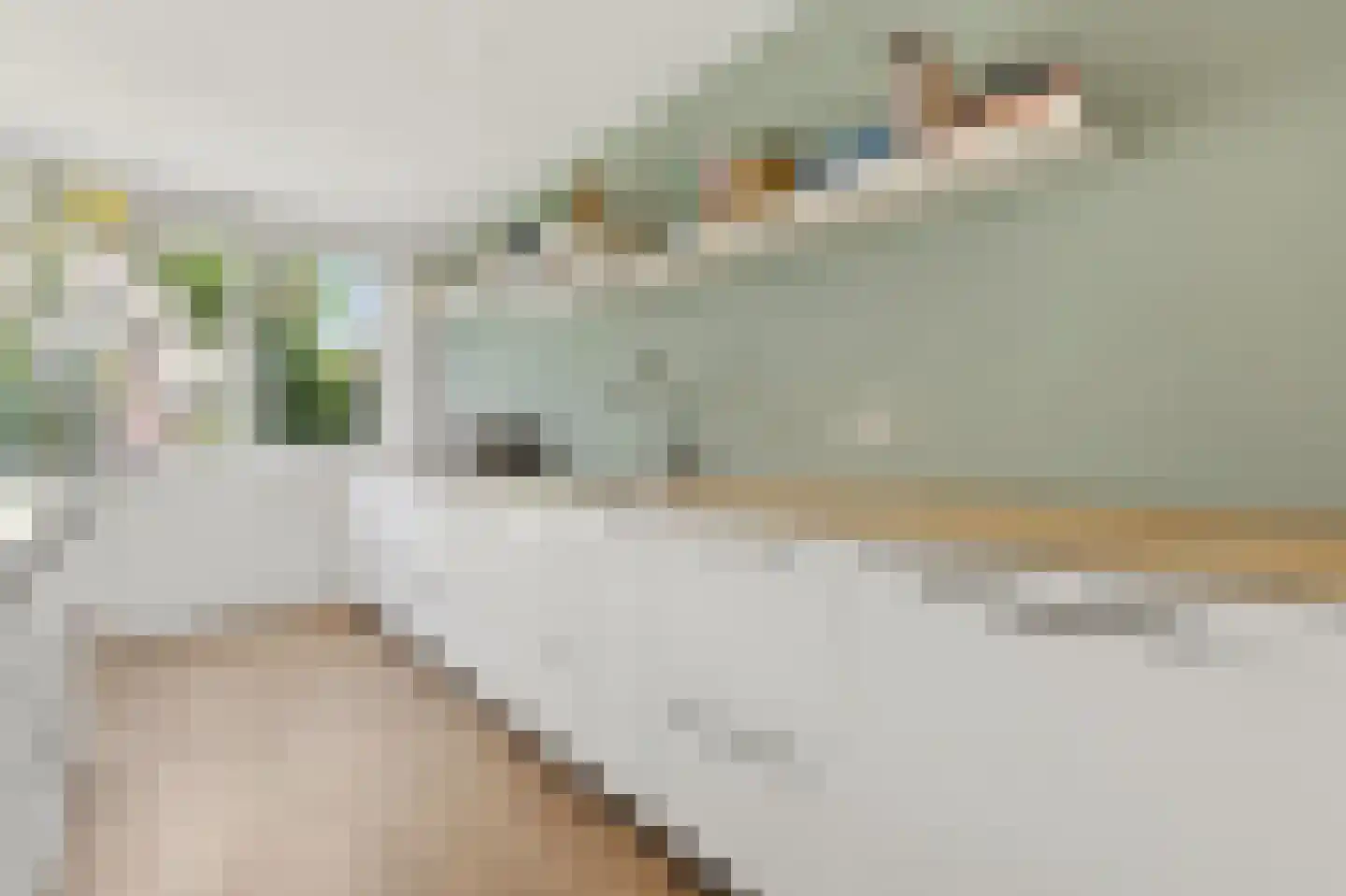 Ruwaard 6 Maasland thumbnail 17